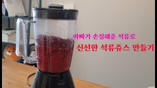 아빠가 손질해준 석류로 신선한 석류쥬스 만들기, Making Fresh Juice With Pomegranate Dad  Peeled For Me!