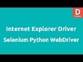 Internet Explorer Driver using Selenium 2 Python