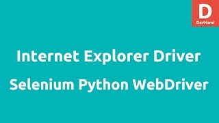 Internet Explorer Driver using Selenium 2 Python