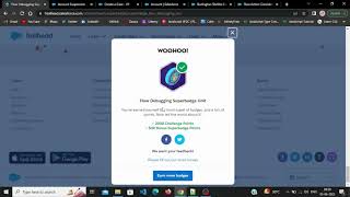 Flow Debugging Superbadge Unit All Challenges