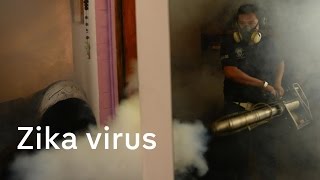 Zika virus: Women in El Salvador advised to avoid pregnancy