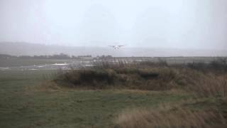 Planes land in gale force winds at Bristol Airport during Storm Imogen