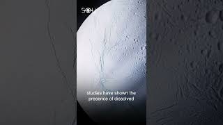 See why Saturn's Moon is the Brightest in the Solar System!#short #viral