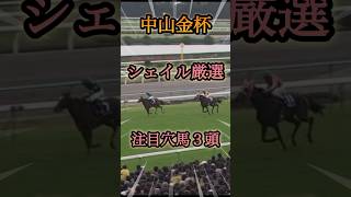 中山金杯のシェイル厳選穴馬3頭紹介　#shorts  #中山金杯  #穴馬