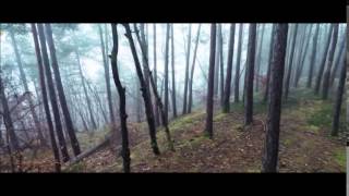Roald Velden - She's Something Else (Original Mix)