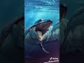 Mosasaurus vs Megalodon Thoery