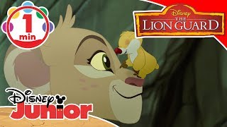 The Lion Guard | Song - The Underground Adventure | Disney Kids