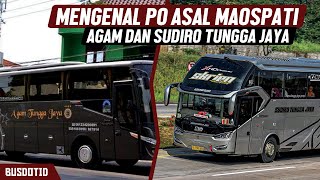 Mengenal Perusahaan Otobus Asal Maospati Agam Dan Sudiro Tungga Jaya  | Sekilas Bus