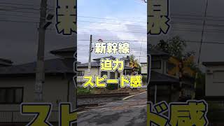 【ふみきり】山形　新幹線・仙山線・奥羽本線・左沢線が交差する街中踏切🚉🌆