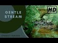 Forest River Nature Sounds - Sleeping Bird Sounds & Water Flowing - 1hr. Natural Music of the Forest