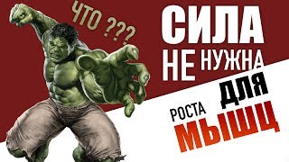 РОСТ МЫШЦ И МАКСИМАЛЬНАЯ СИЛА НЕ СВЯЗАНЫ?