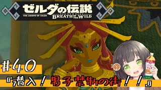 ゼルダの伝説 ブレス オブ ザ ワイルド #40 ゲルドの街、噂のルージュ様とは？男子禁制の街！？【任天堂スイッチ】【PONじゅーす】