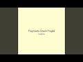 Fragments Ocean Fragile