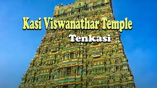 Kasi Viswanathar Temple [ Tenkasi , Tamil Nadu, India ]