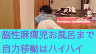 脳性麻痺児たくちゃんの自力移動【ズリバイ】#移動が不可能な障害