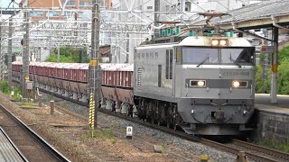 東海道線を走る EF210・EF64・EF510牽引貨物列車　2024.6