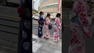 japanese lady wearing kimono | japanese girl’s wearing beautiful clothes | Japanese dress #japan