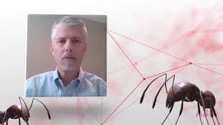 ABB Adaptive Execution™: Collaboration pod - Ant