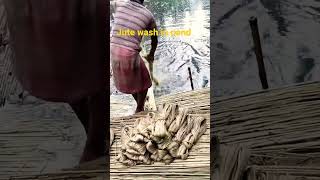 Jute Washing#shorts #agriculture #uniqueagrotips