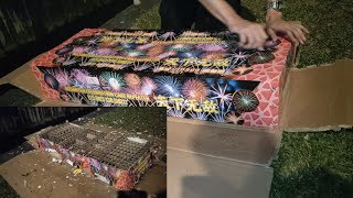 399 shot firework cake