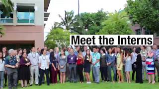 Meet the Interns 2017