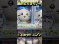 ちいかわらんど探検^ ^サイコーに可愛いちいかわらんど！！ ちいかわ ちいかわグッズ ちいかわらんど ちいかわうさぎ ハチワレ shorts chiikawa