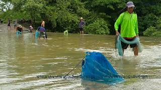 ชาวบ้านพากันมา fishing หาปลาน้ำหลาก จากพายุโนอึล /วิถีchannel