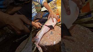 Amazing Silver Carp Fish Cutting Skills In Bangladesh Local Fish Market By Expert Cutter #shorts