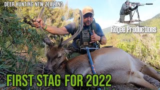 First Stag -  Jan 2022