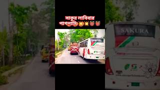 sakura on fire লাবিবা vs সাকুরা 👹👹💥#busloverstory #shorts #sakura #vs #labiba #video #viral #hanif