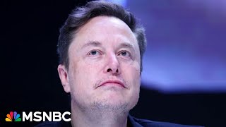 ‘Hiding from the voters’: Cuts from Elon Musk have Republicans in Congress scrambling for answers 