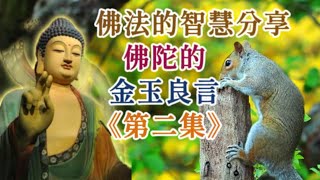 佛法的智慧分享：佛陀的金玉良言《第二集》