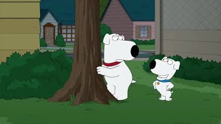 Family Guy Cutaway Compilation Season 12