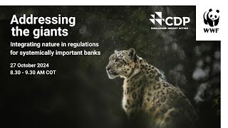 Addressing the giants: integrating nature in regulations for systemically important banks