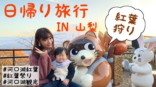 【Vlog】山梨県河口湖カチカチ山ロープウェイ,紅葉祭り