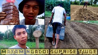 manipur young farmer gi surprise yengse