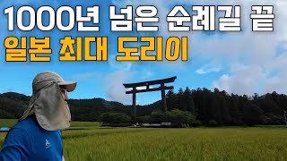 🇯🇵 1000년 넘은 순례길 위 1800년 넘은 온천 지나 초대형 도리이를 찾아서 【구마노고도 나카헤치】