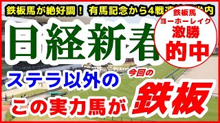 日経新春杯2022予想【ステラ以外の この実力馬が今回の鉄板馬】有馬記念から４戦連続馬券内で推奨鉄板馬が絶好調！