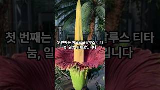 세계에서 가장 희귀한 꽃 TOP10#희귀한 #꽃 #세계순위