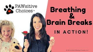 Breathing & Brain Breaks in Action