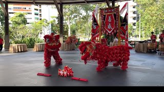 Singapore SAFRA yishun community club present lion dance CNY 2024