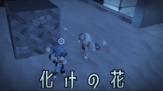 【雰囲気動画】化けの花