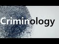 Introduction to Criminology- Lesson 1