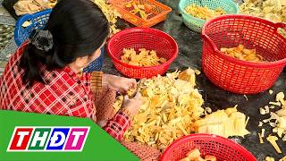 Nhà vườn xẻ mít vượt bão giá thấp | THDT