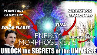 Using Bioelectric & Geomagnetic Energies to achieve your full potential
