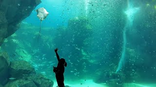 桃園八景島水族館XPARK