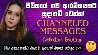 නව බලාපොරොත්තුවක් ඔයාට ✨️ පවුලේ කෙනෙකගේ පැතුමක් ඉටුවේ Collective Reading Tarot Sinhala