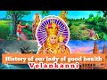 history of our lady of good health velankanni | in english 🧡