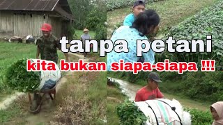 Melihat kegiatan para petani di sore hari || aktifitas petani di pedesaan