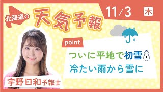 １１月３日　北海道の天気予報　ポイントは「日中は冷たい雨　夜遅くは雪も」